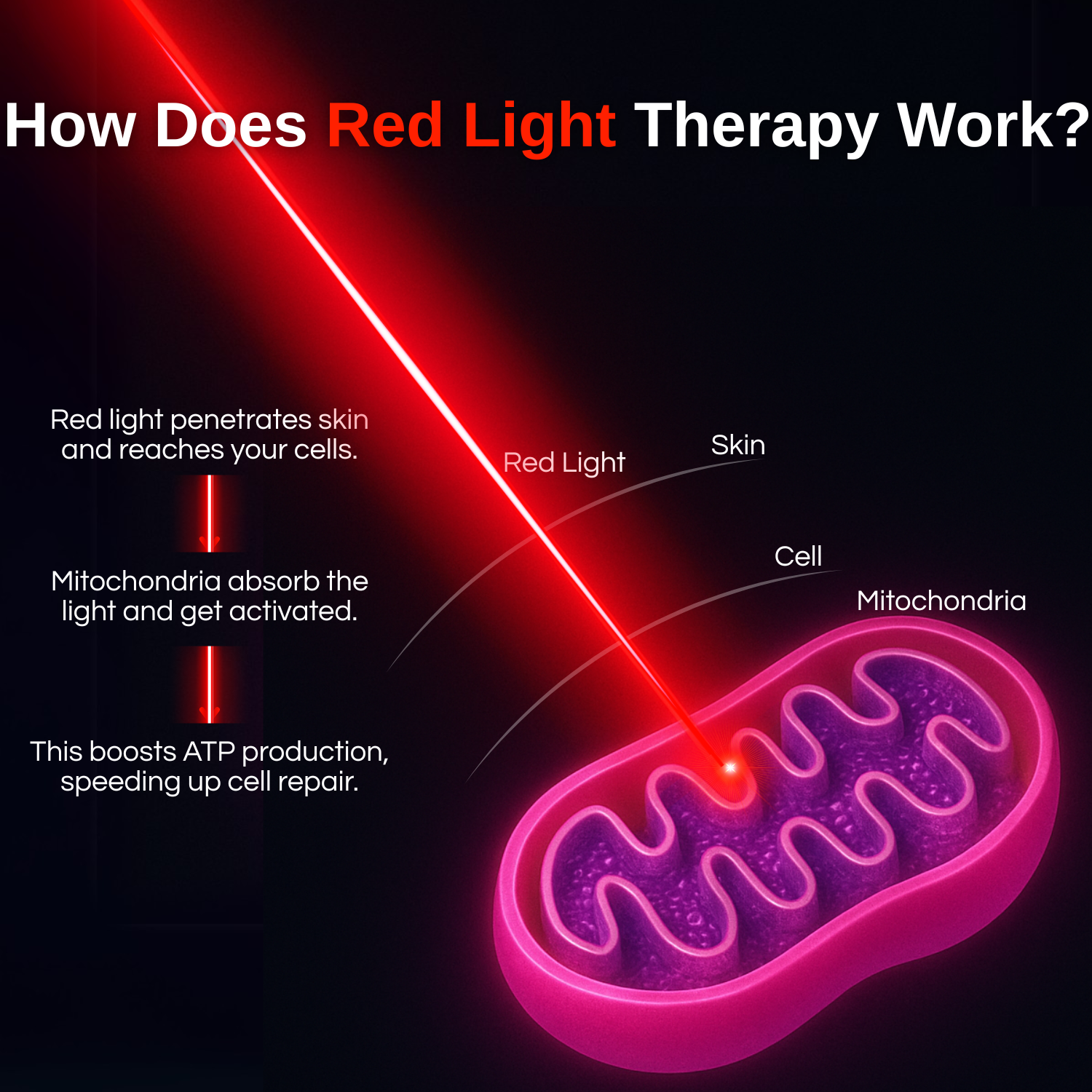Red Light Therapy Bed