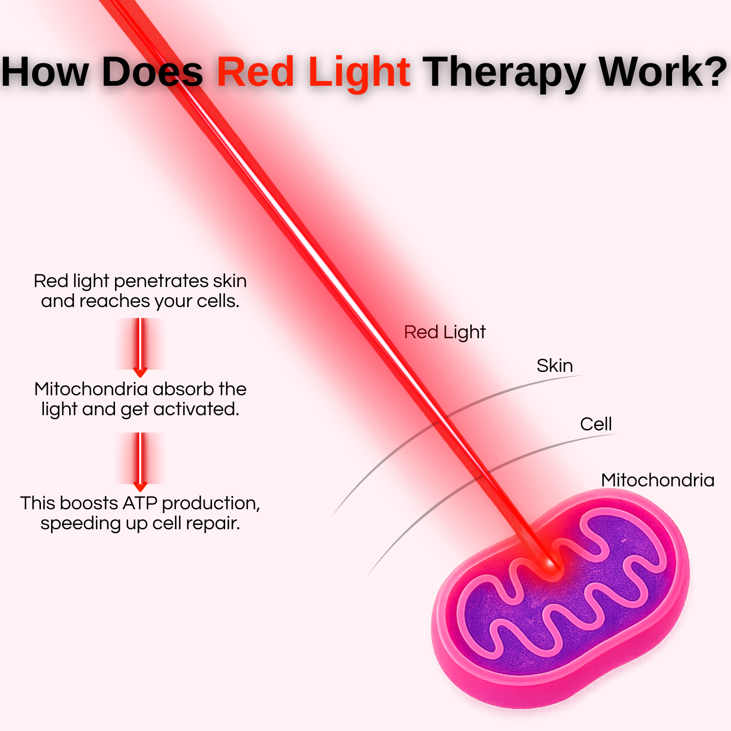 RLPRO2000L Full-Body Red Light Therapy Bed